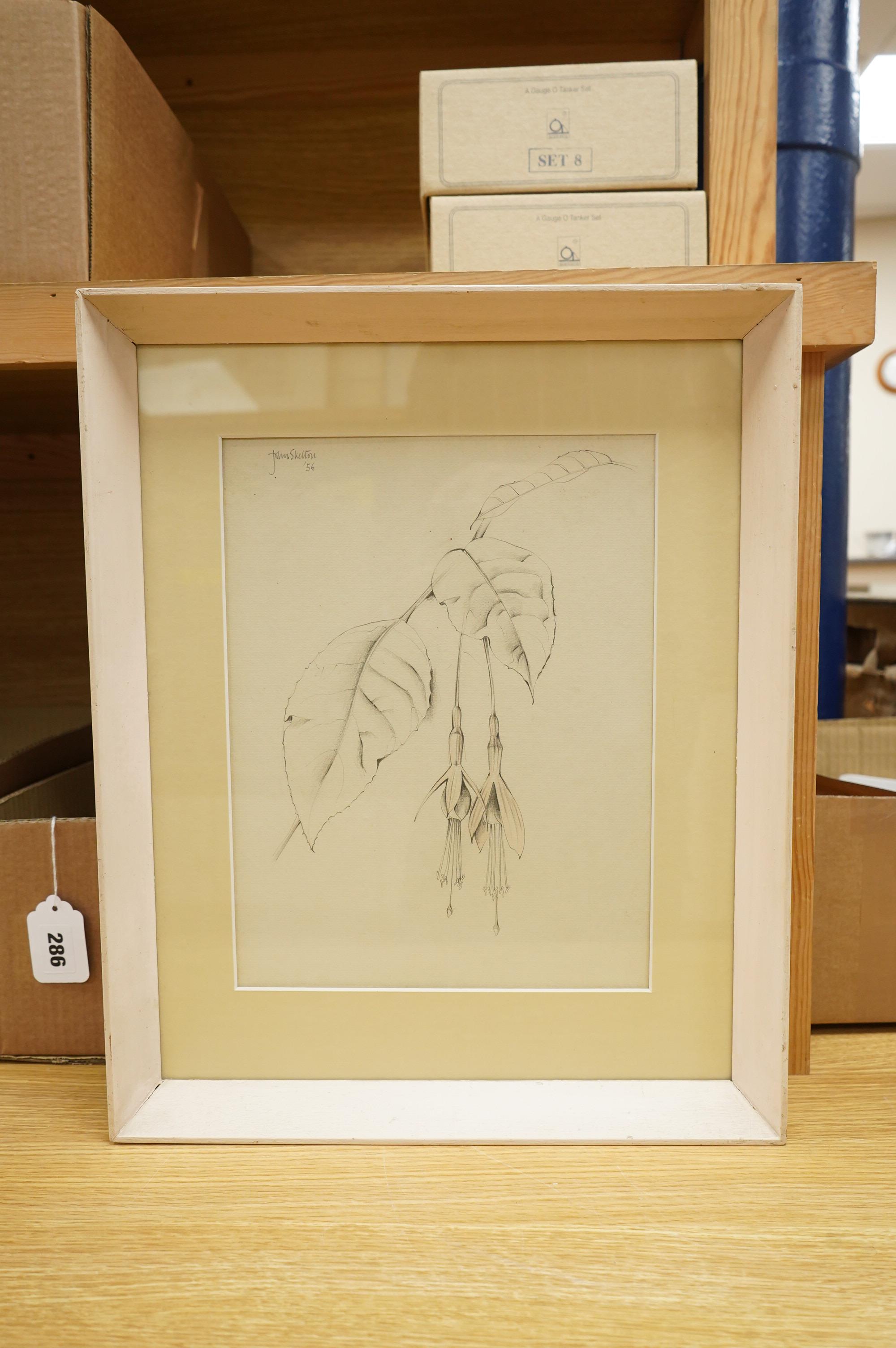 John Skelton (1925-2009), Botanical studies, each signed and dated, three watercolours and a pencil study, largest 30 x 22cm, Provenance: from the artist's family